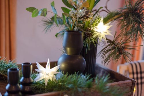 Christbaumverkauf-2025-17