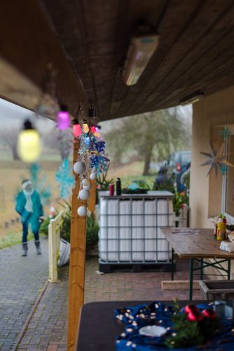 Christbaumverkauf-2025-35