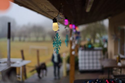 Christbaumverkauf-2025-36