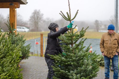 Christbaumverkauf-2025-38