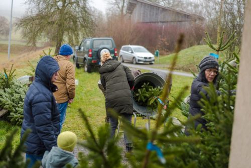 Christbaumverkauf-2025-39