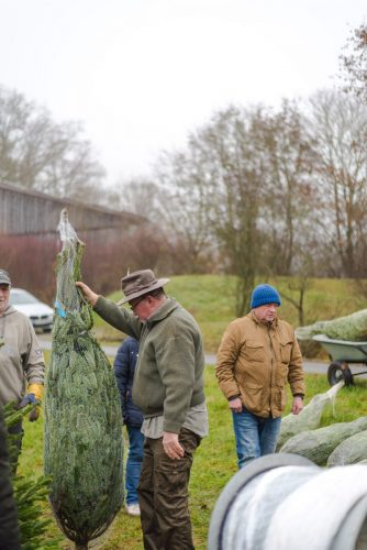 Christbaumverkauf-2025-41