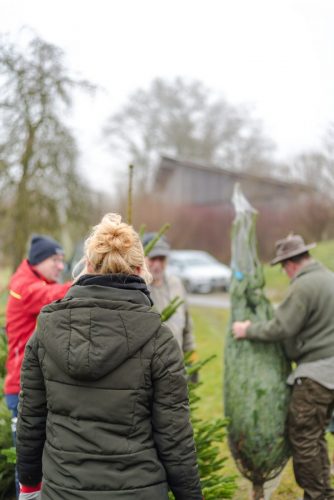Christbaumverkauf-2025-42