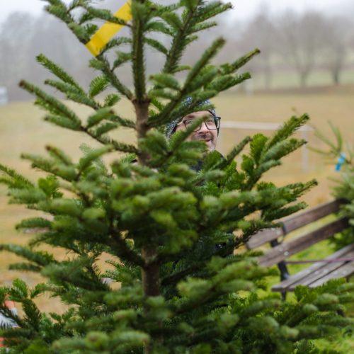 Christbaumverkauf-2025-49