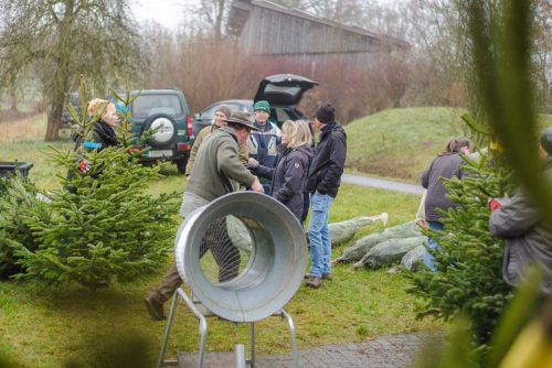 Christbaumverkauf-2025-51