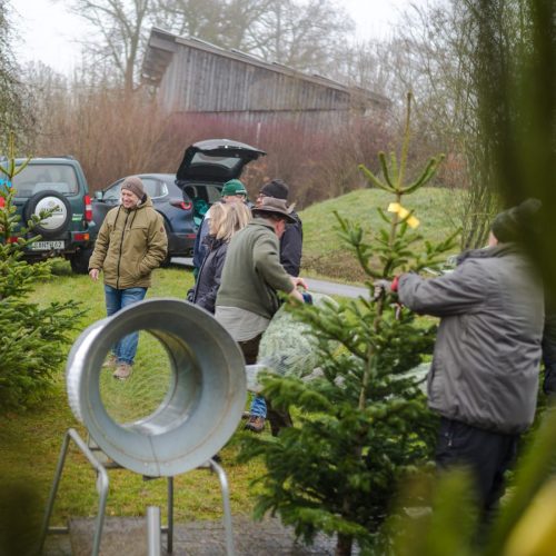 Christbaumverkauf-2025-52