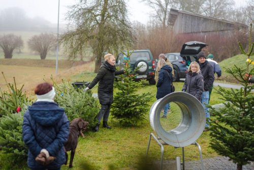 Christbaumverkauf-2025-53