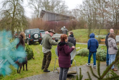 Christbaumverkauf-2025-65