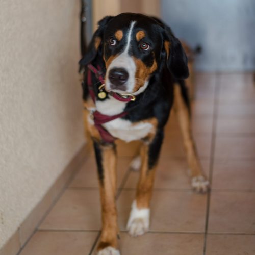 Christbaumverkauf-2025-79